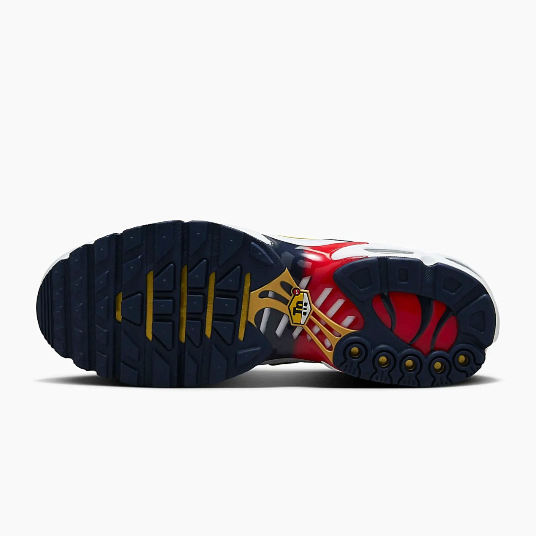 Air Max Plus x PSG