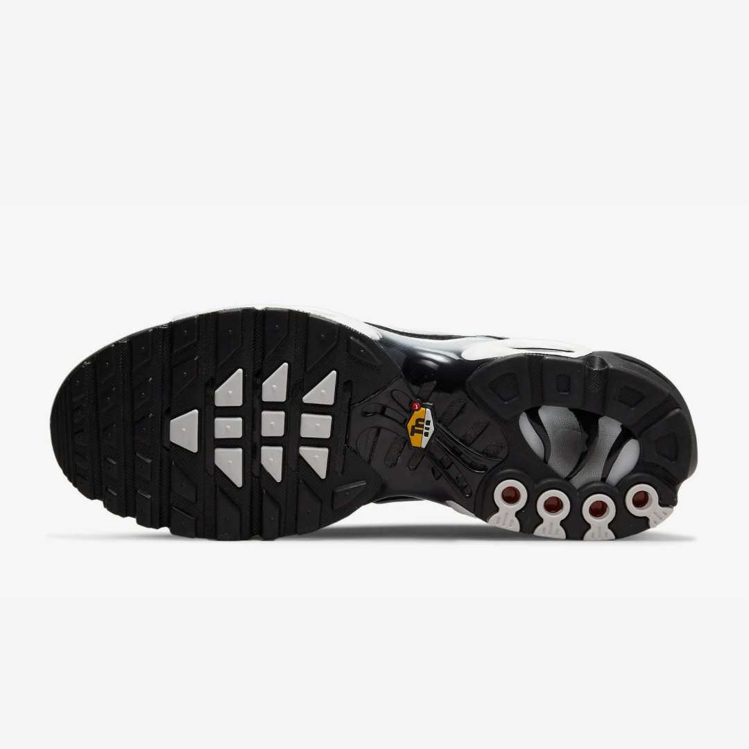 Air Max Plus Tn Smokes