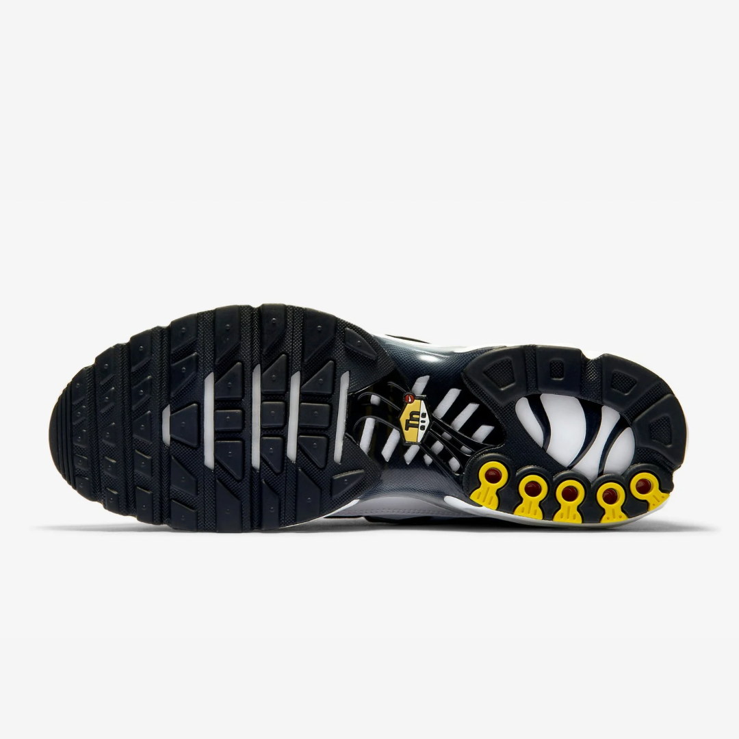 Air Max Plus Tn Killer Whale