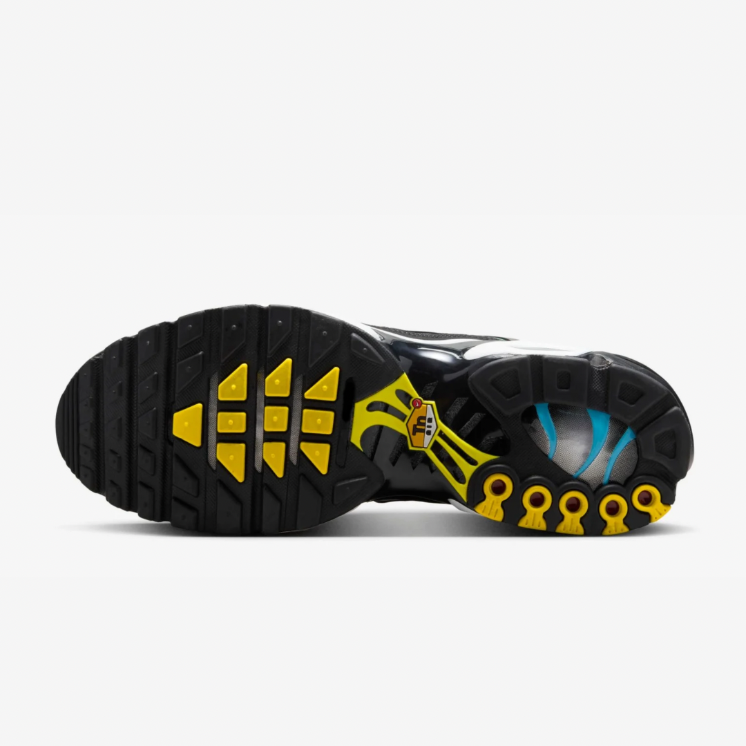 Air Max Plus Tn Tropical Gradient