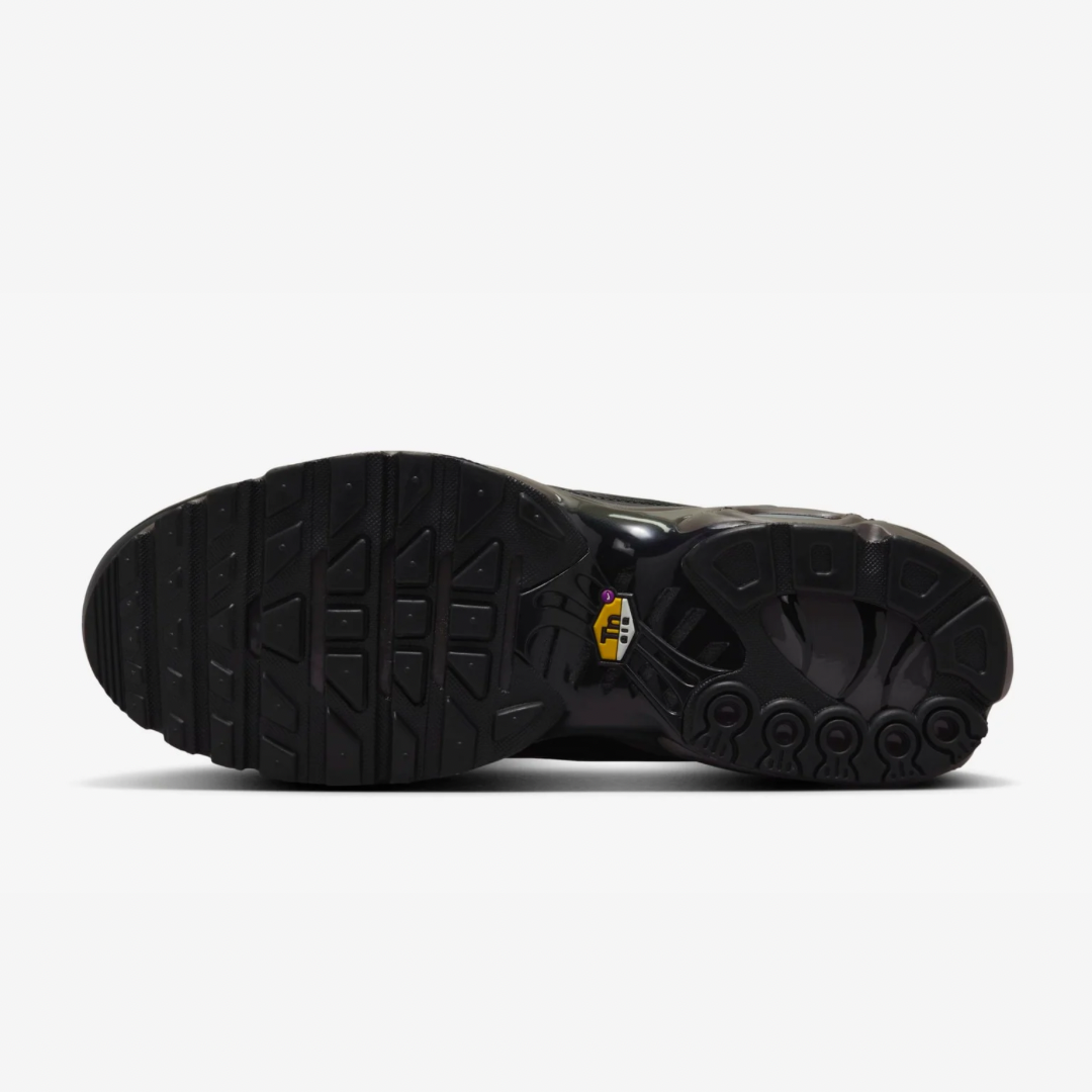 Air Max Plus Tn Paris PRM
