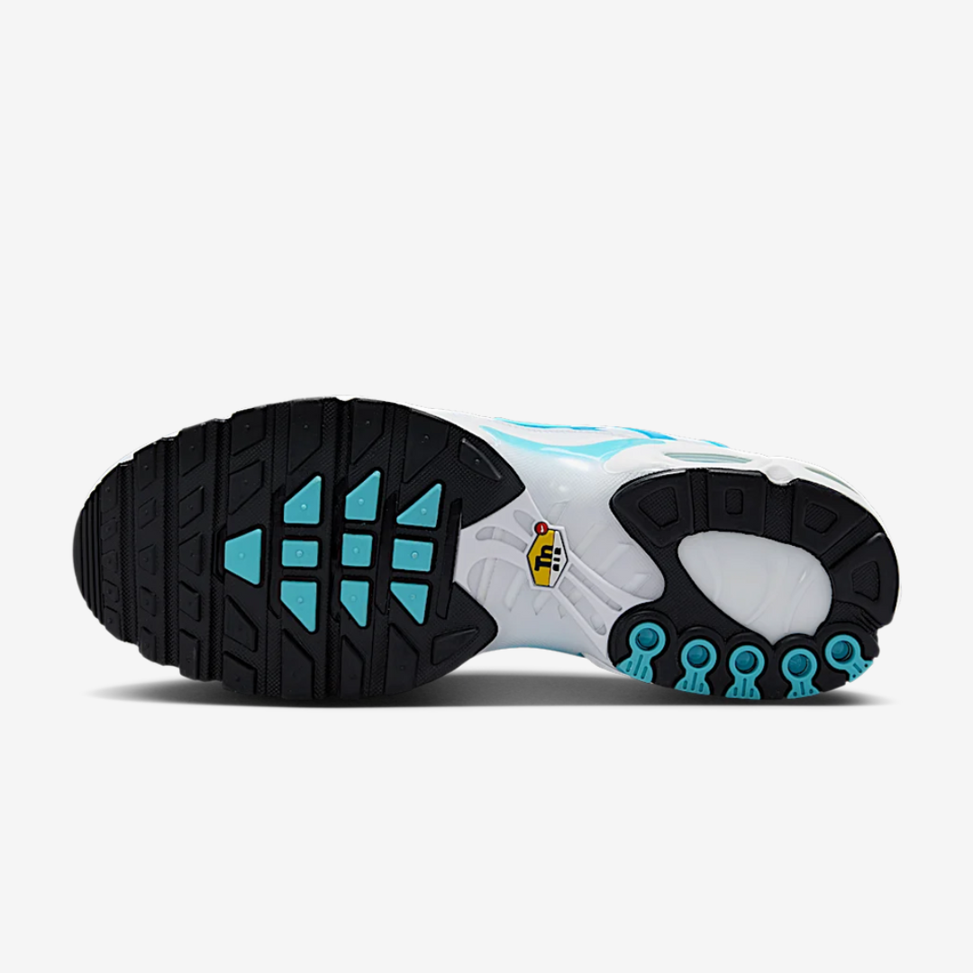 Air Max Plus Tn Dreams