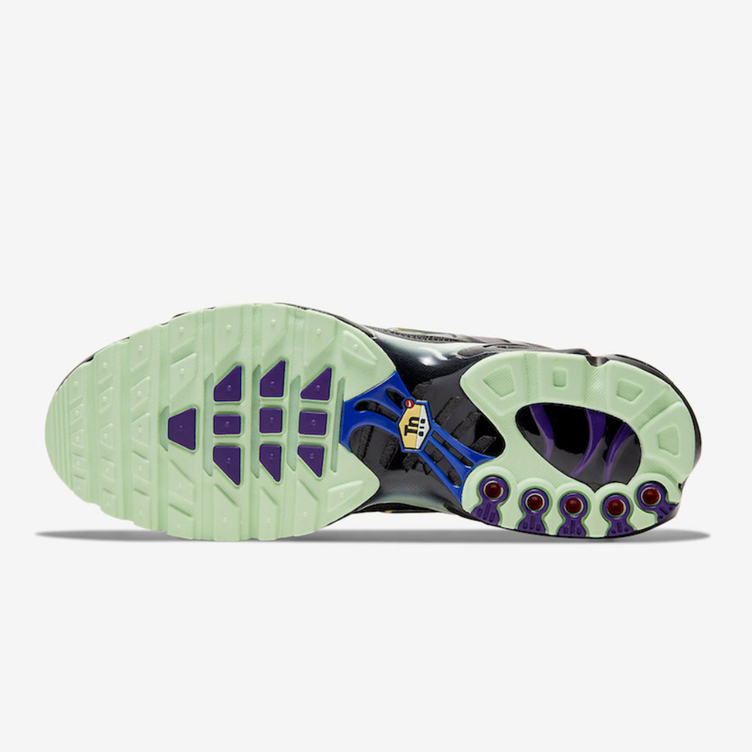 Air Max Plus Tn Future Swoosh