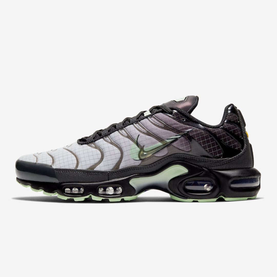 Air Max Plus Tn Future Swoosh