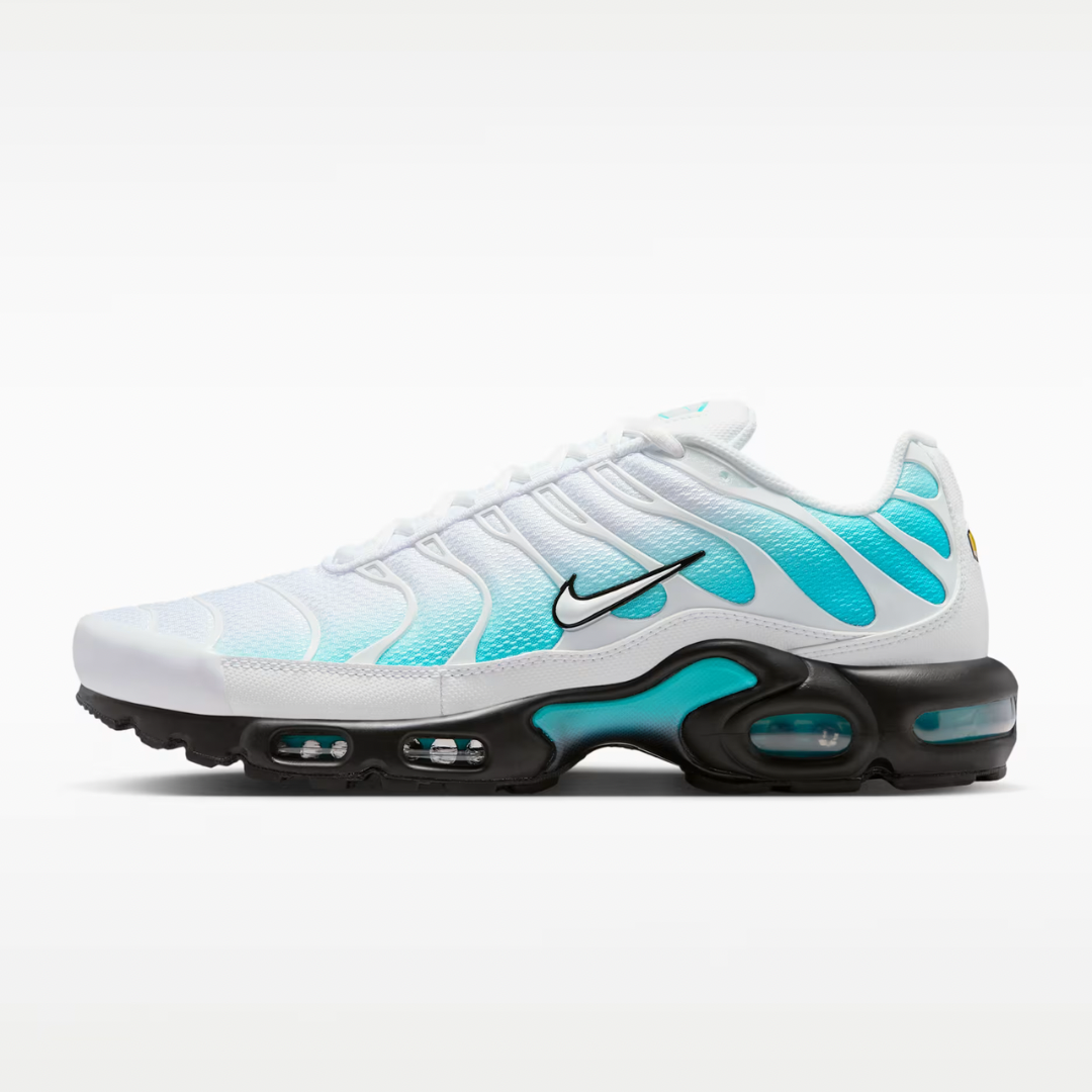 Air Max Plus Tn Frostbite
