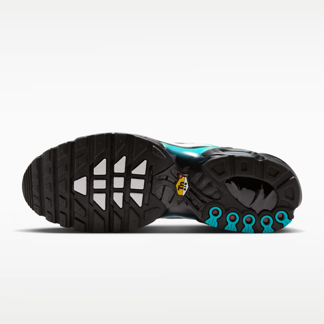 Air Max Plus Tn Frostbite